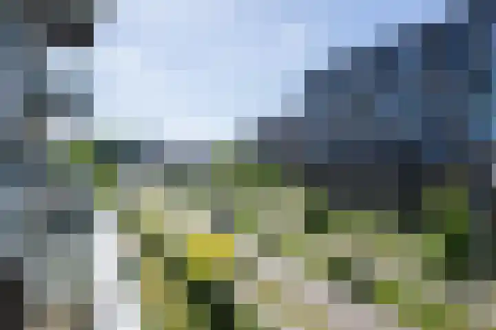 Govert Flinckstraat 17 D Zwolle thumbnail 9