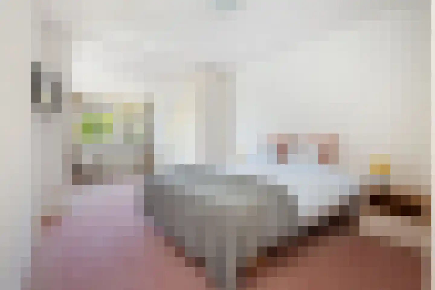 Govert Flinckstraat 17 Waalwijk thumbnail 25