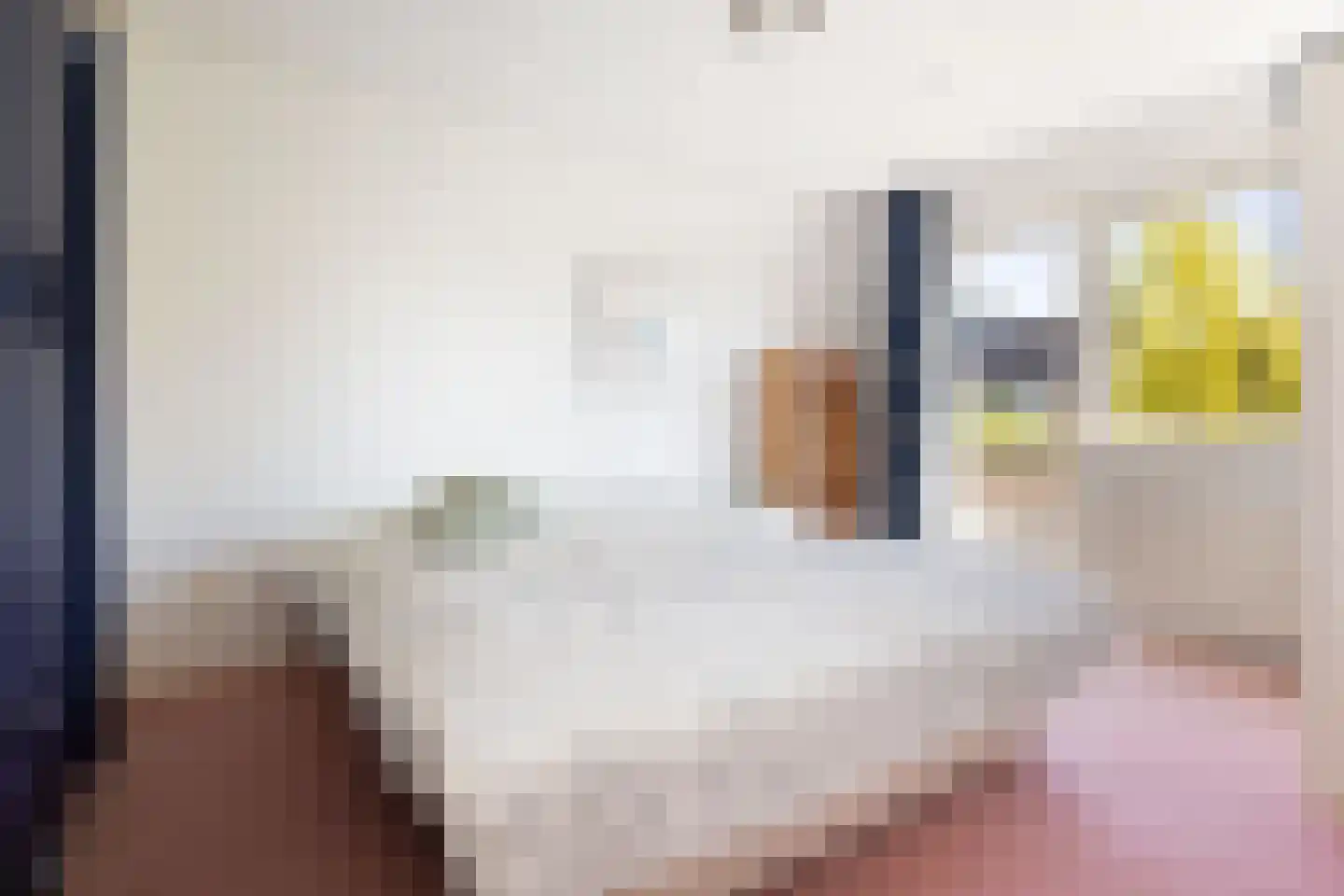 Govert Flinckstraat 17 Waalwijk thumbnail 27