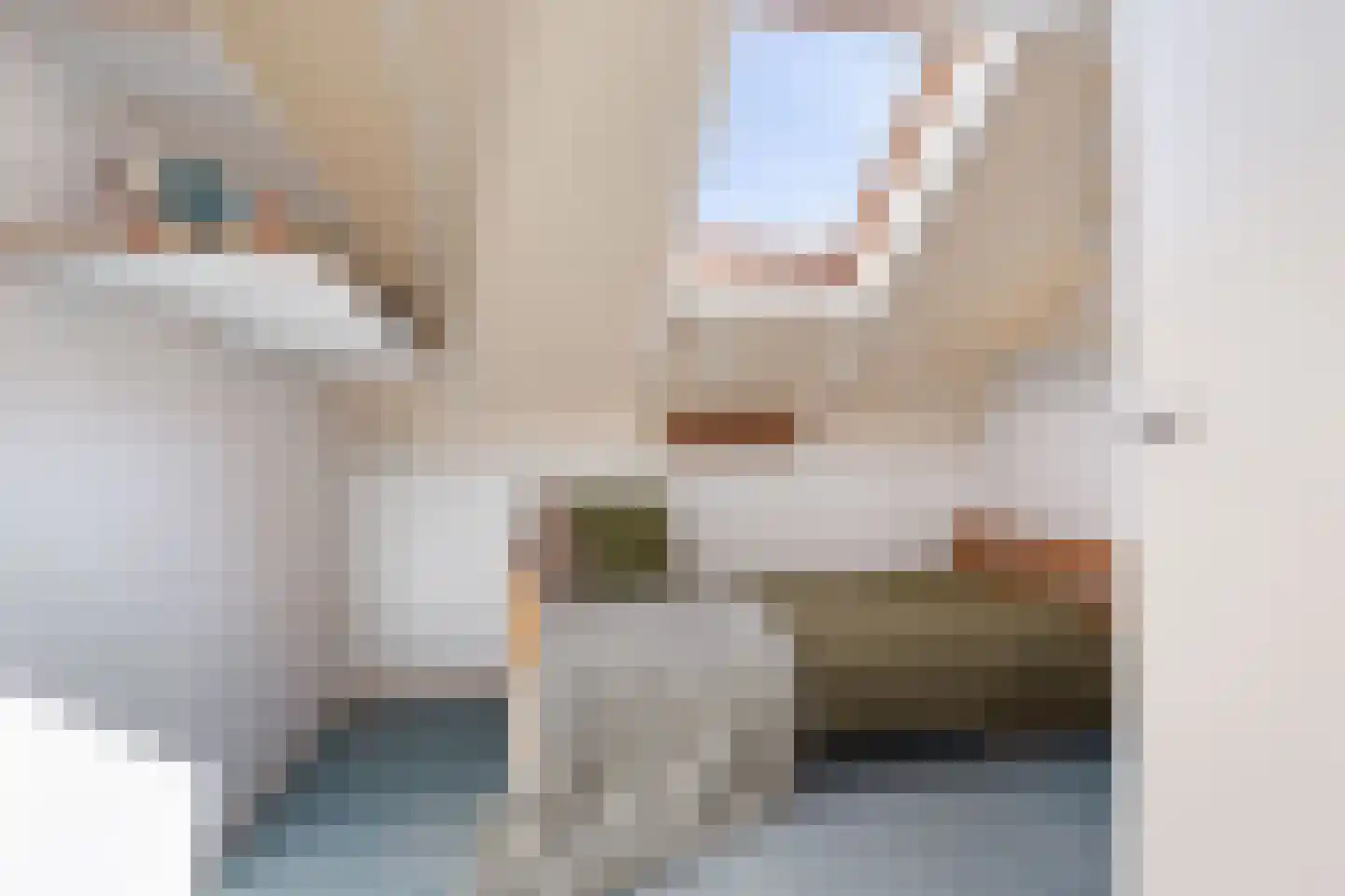 Govert Flinckstraat 17 Waalwijk thumbnail 36