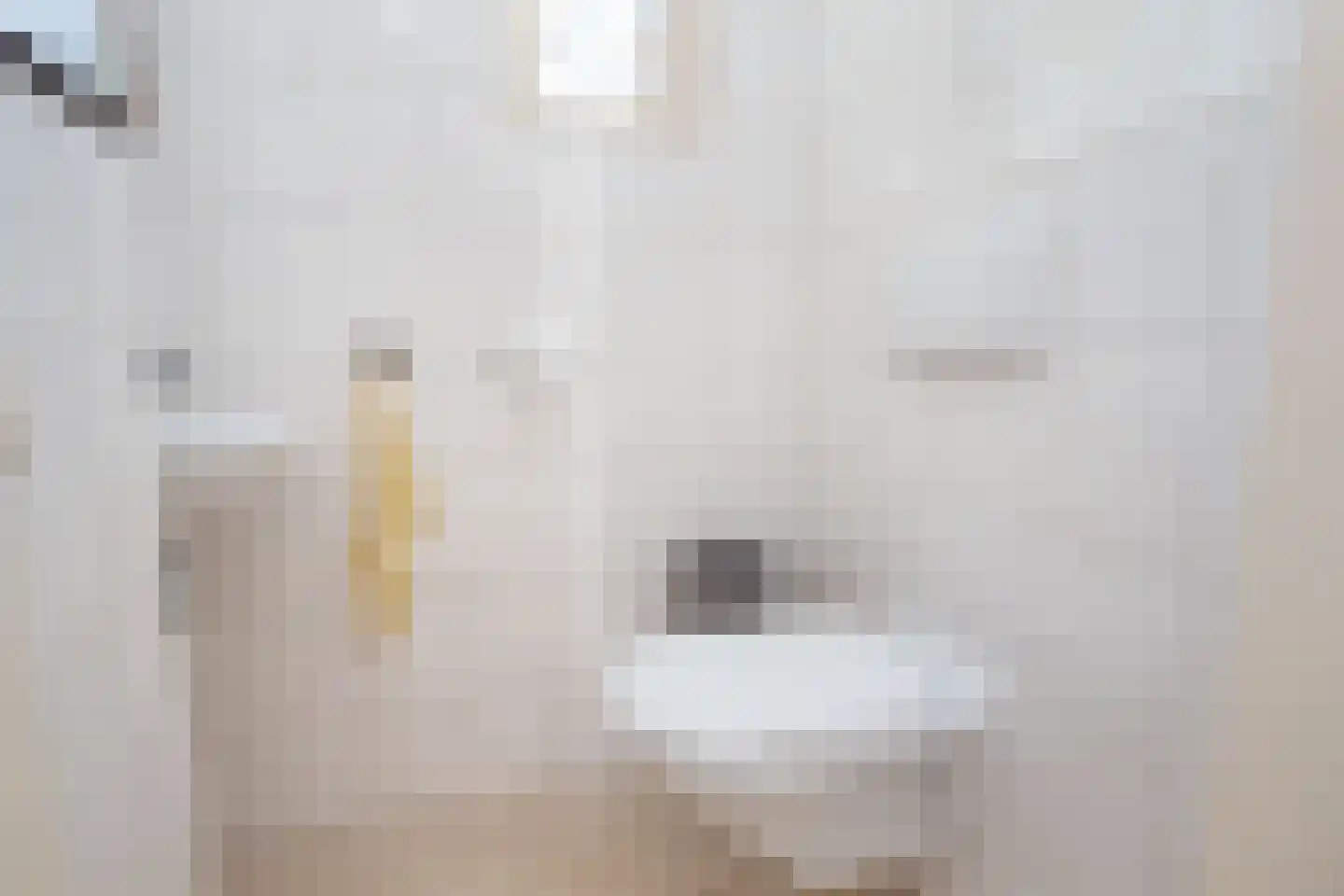 Govert Flinckstraat 17 Waalwijk thumbnail 8
