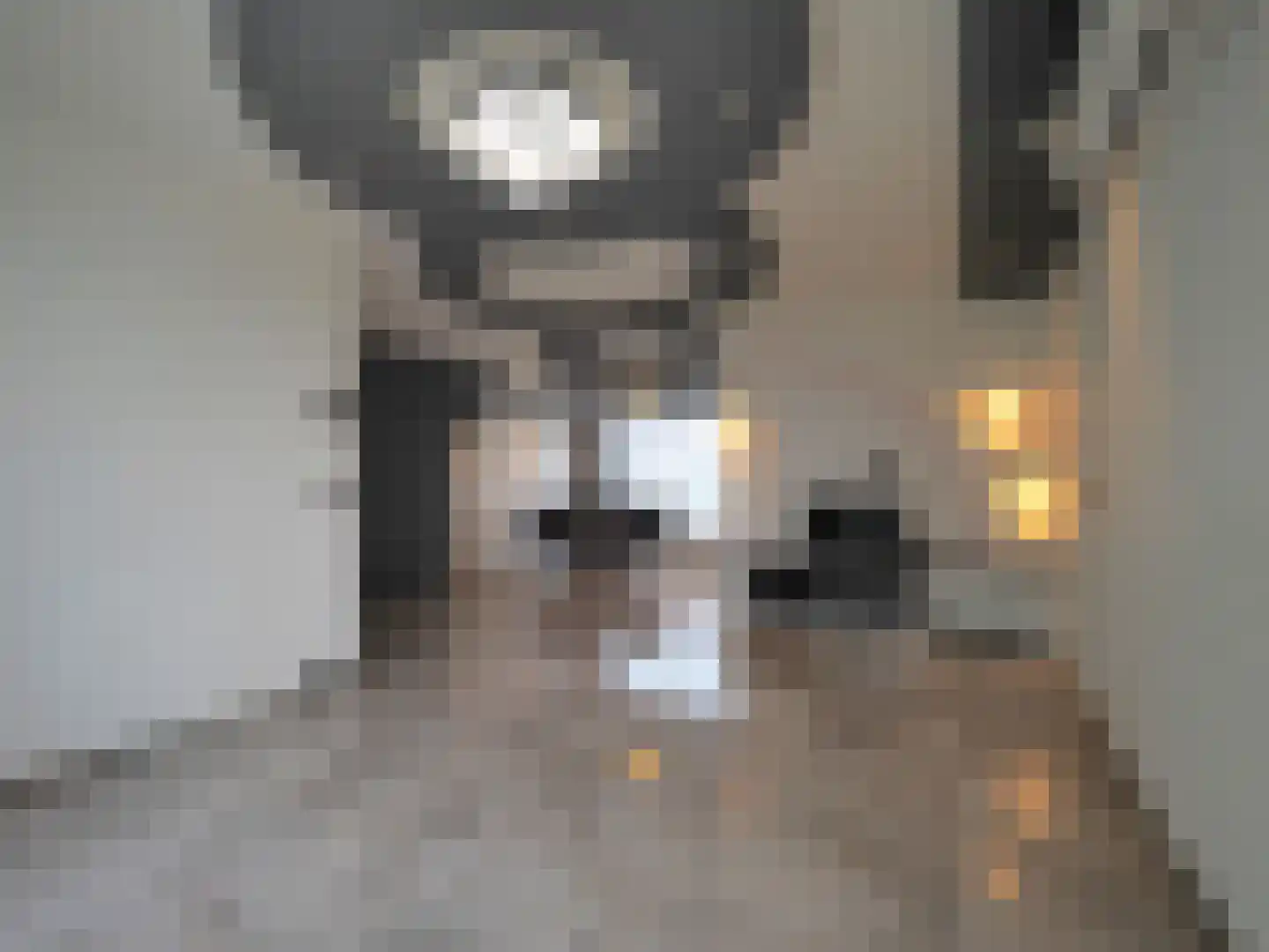 Govert Flinckstraat 18 Papendrecht thumbnail 13