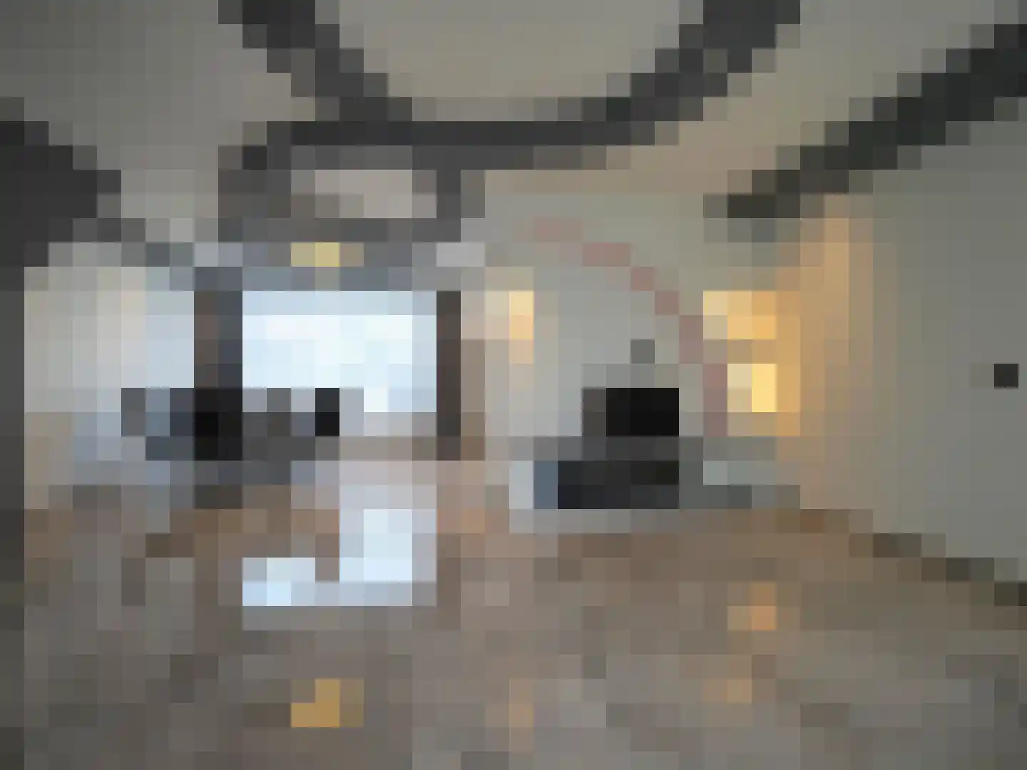 Govert Flinckstraat 18 Papendrecht thumbnail 14