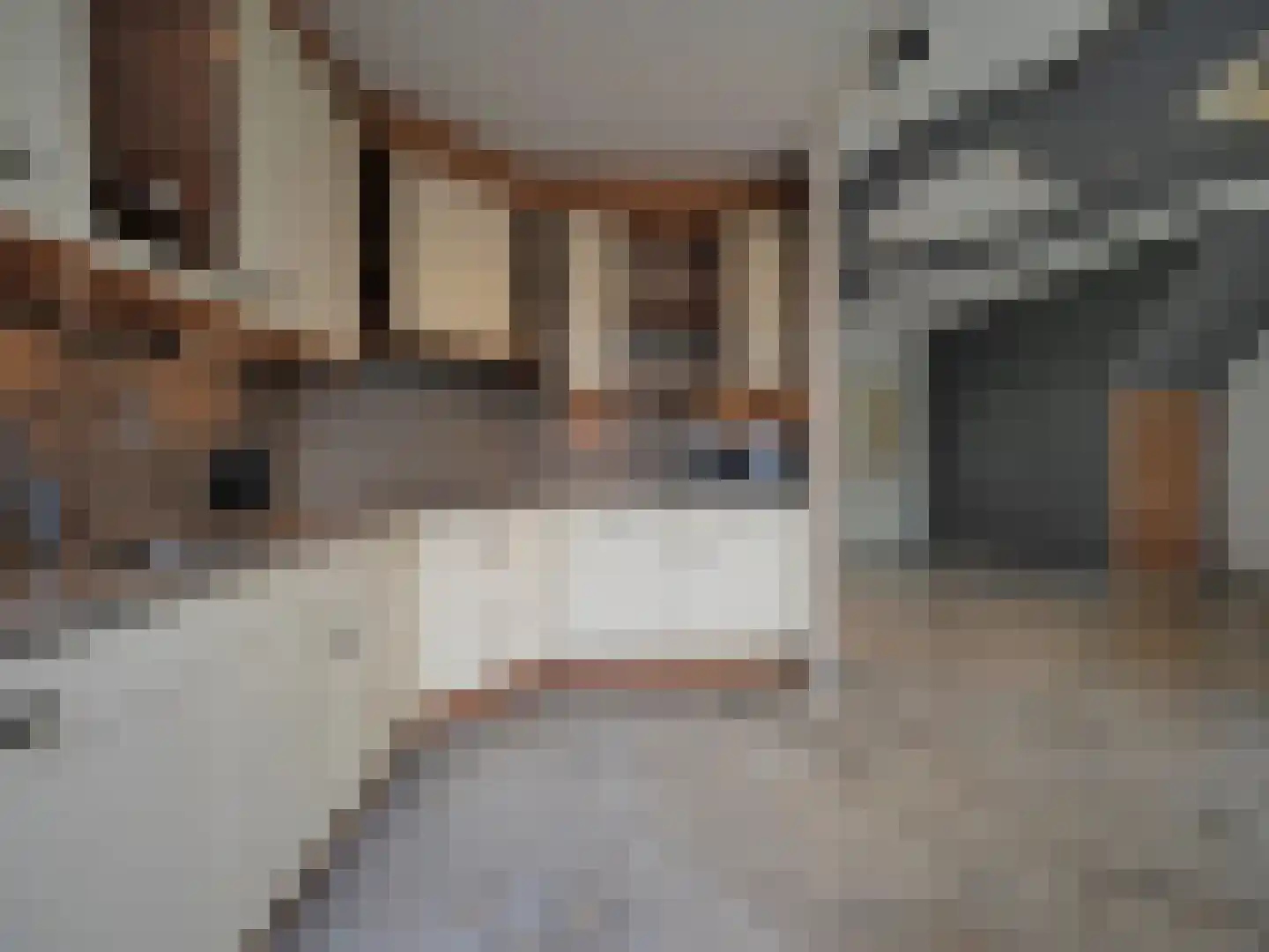 Govert Flinckstraat 18 Papendrecht thumbnail 17