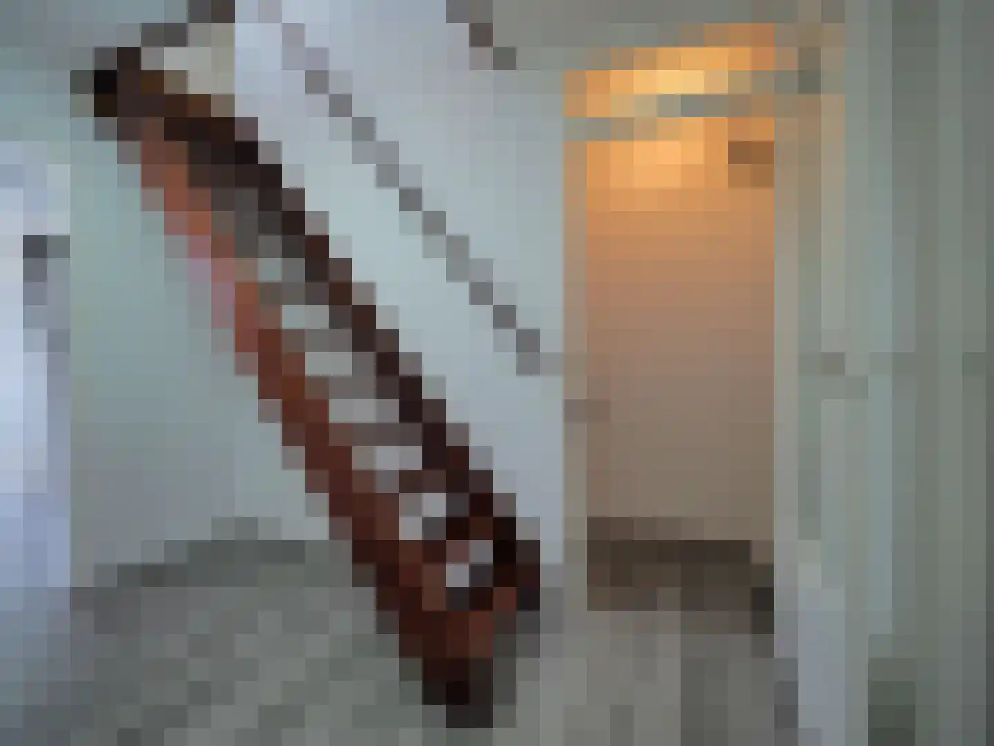 Govert Flinckstraat 18 Papendrecht thumbnail 19