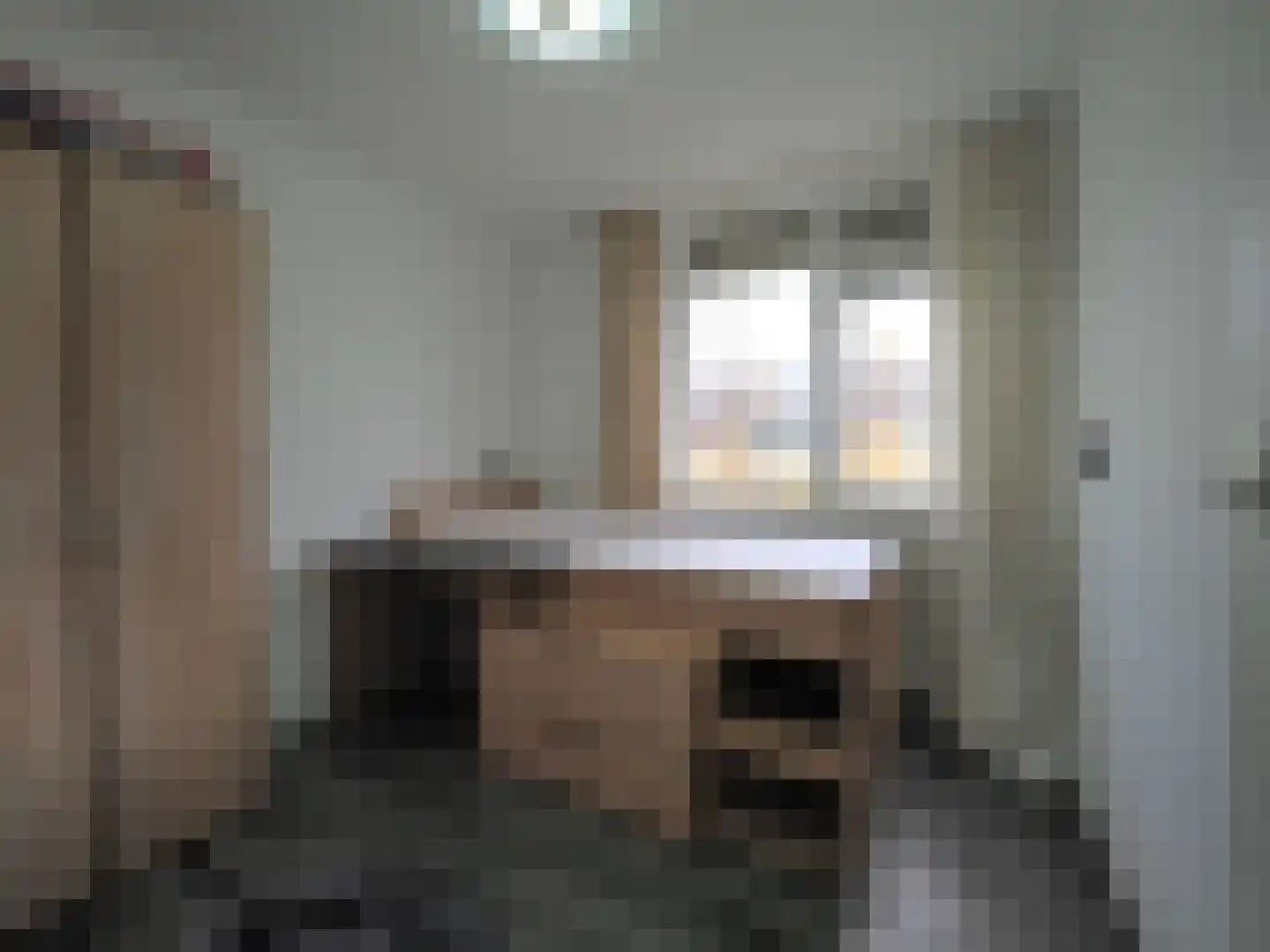 Govert Flinckstraat 18 Papendrecht thumbnail 29