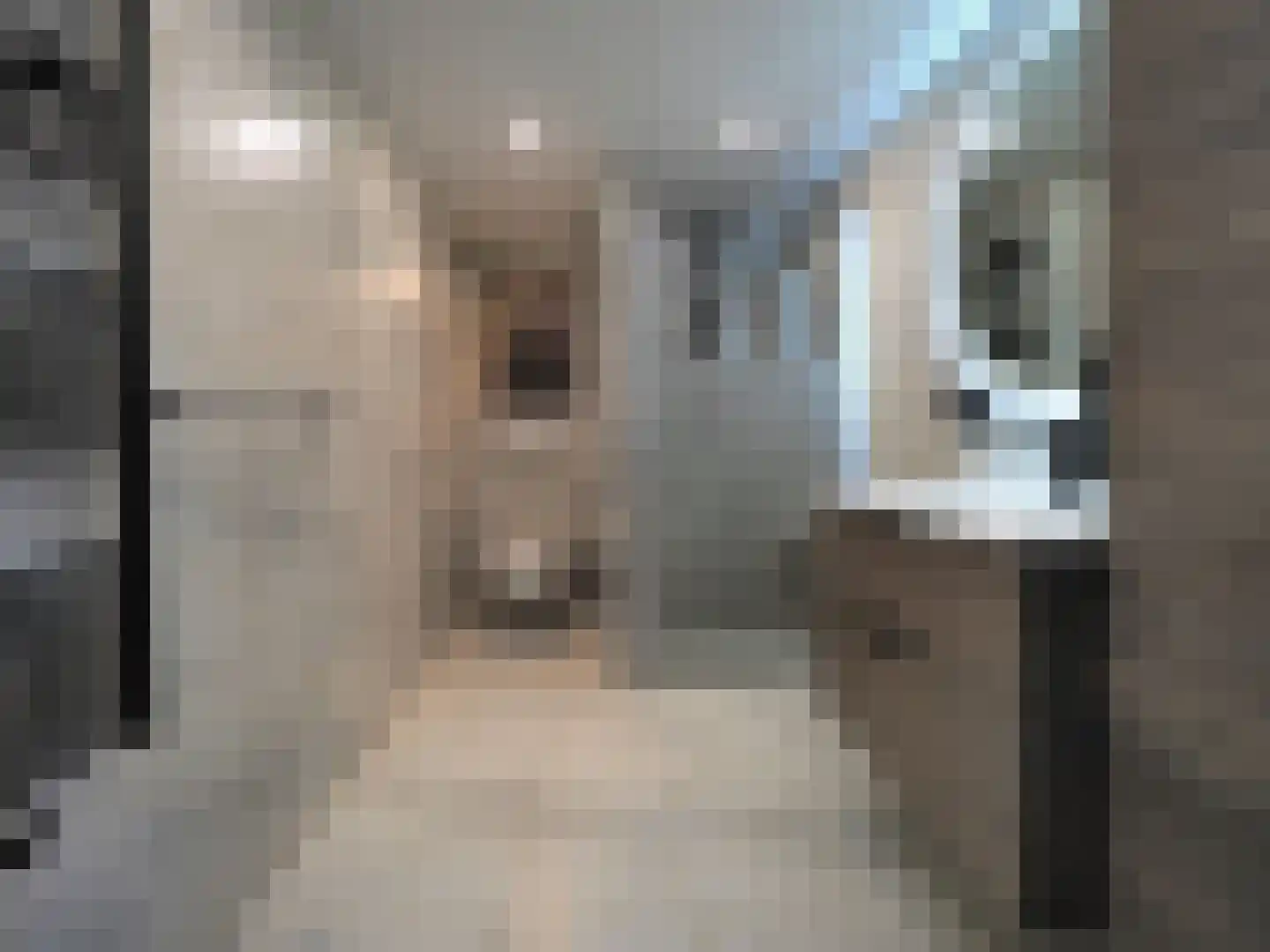 Govert Flinckstraat 18 Papendrecht thumbnail 31