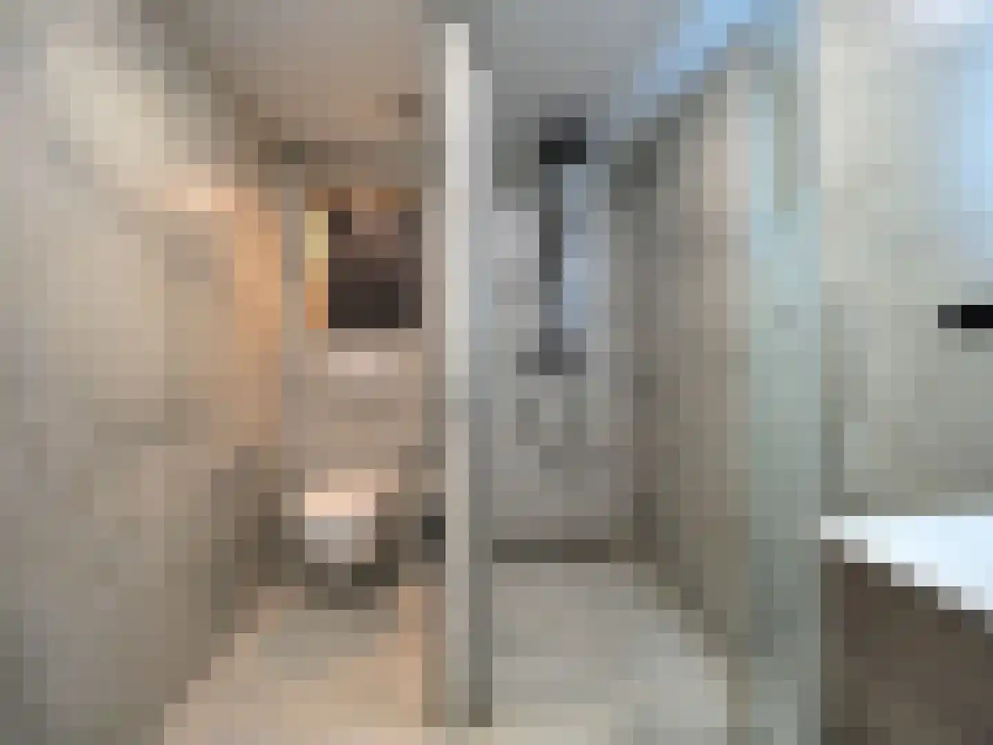 Govert Flinckstraat 18 Papendrecht thumbnail 33