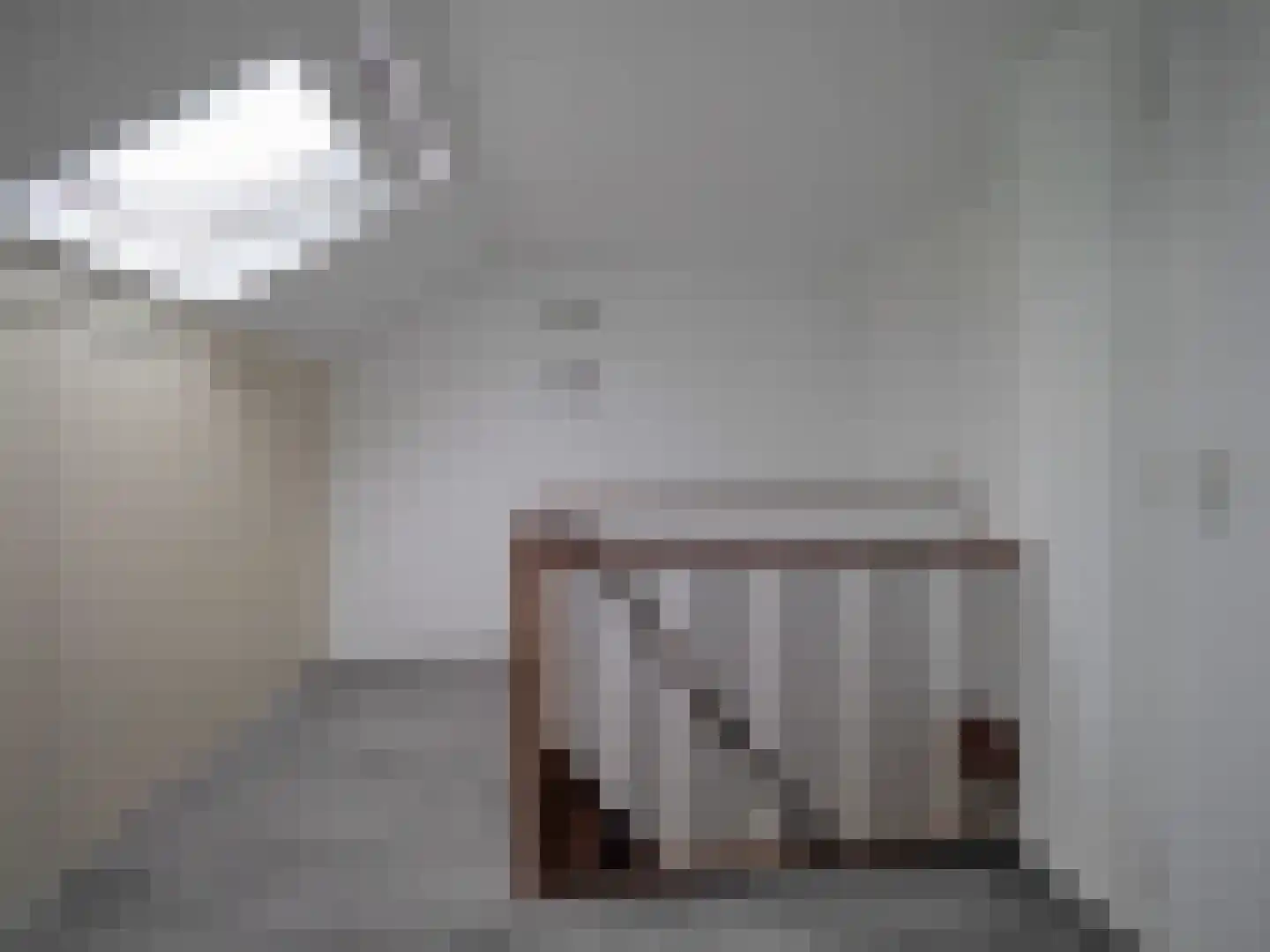 Govert Flinckstraat 18 Papendrecht thumbnail 35