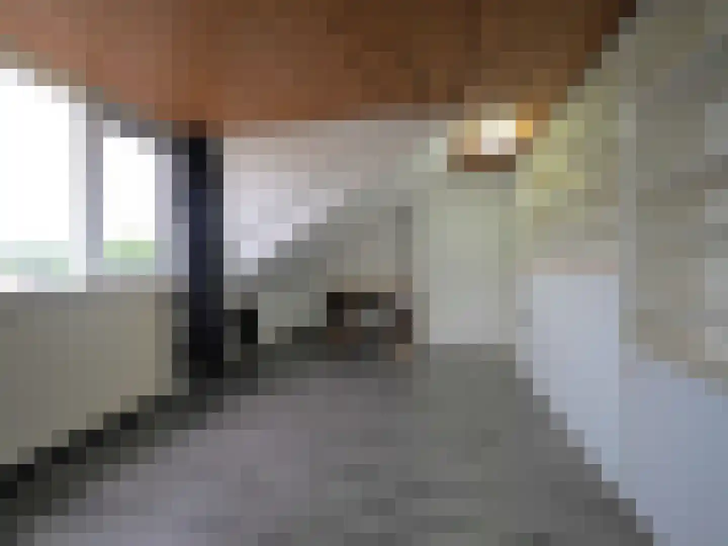 Govert Flinckstraat 18 Papendrecht thumbnail 37