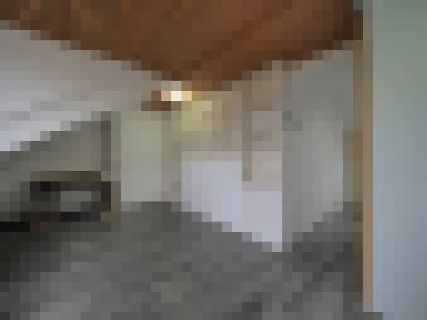 Govert Flinckstraat 18 Papendrecht thumbnail 38