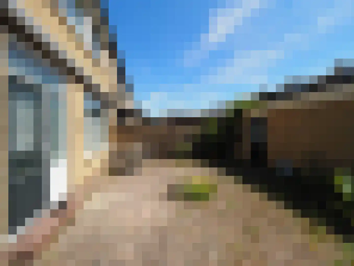 Govert Flinckstraat 18 Papendrecht thumbnail 44