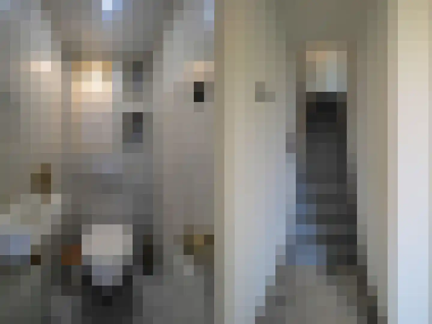 Govert Flinckstraat 18 Papendrecht thumbnail 8