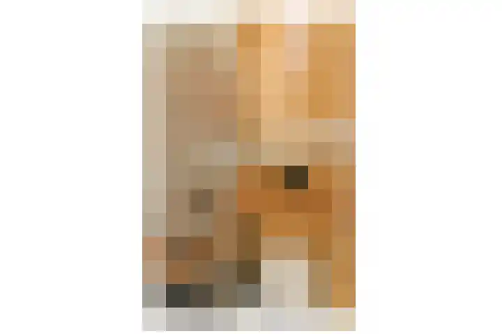 Govert Flinckstraat 19 Lisse thumbnail 11