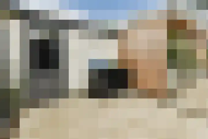 Govert Flinckstraat 19 Lisse thumbnail 14