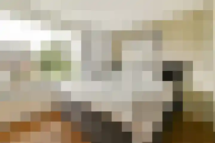 Govert Flinckstraat 19 Lisse thumbnail 16