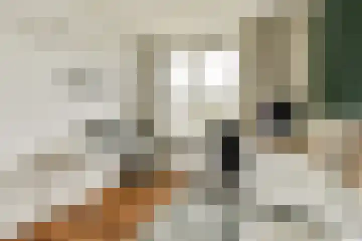 Govert Flinckstraat 19 Lisse thumbnail 20