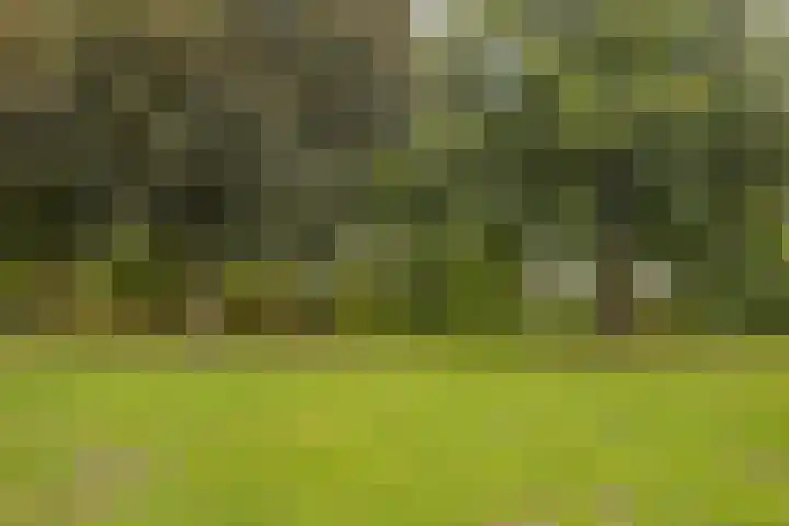 Govert Flinckstraat 19 Lisse thumbnail 32