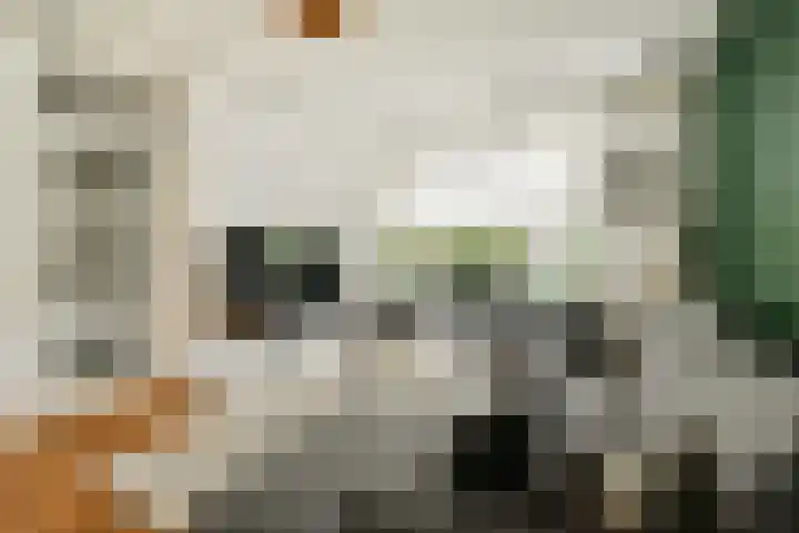 Govert Flinckstraat 19 Lisse thumbnail 4
