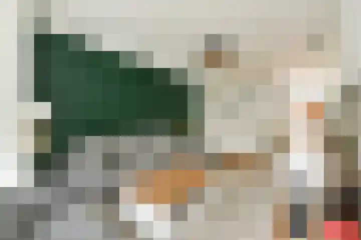 Govert Flinckstraat 19 Lisse thumbnail 5