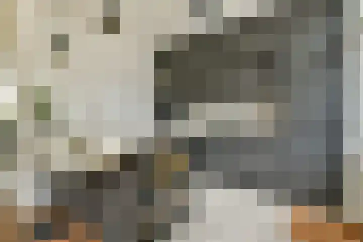 Govert Flinckstraat 19 Lisse thumbnail 8