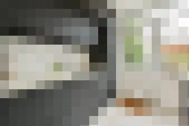 Govert Flinckstraat 19 Lisse thumbnail 9