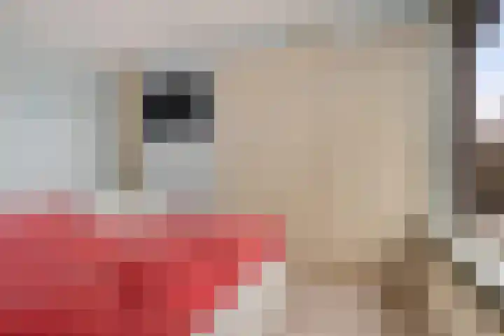 Govert Flinckstraat 2 Apeldoorn thumbnail 34