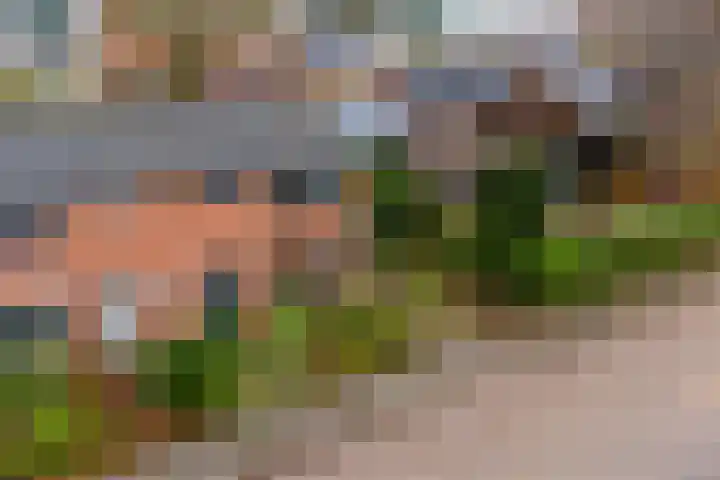 Govert Flinckstraat 2 Apeldoorn thumbnail 4
