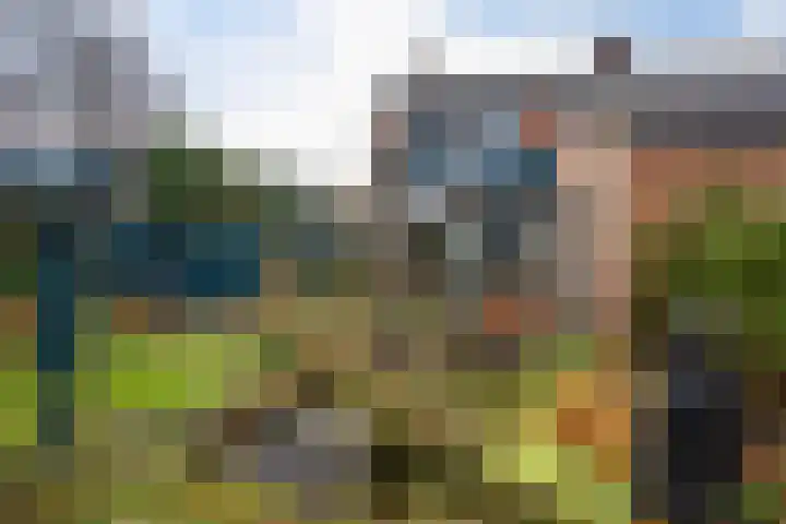 Govert Flinckstraat 2 Apeldoorn thumbnail 48