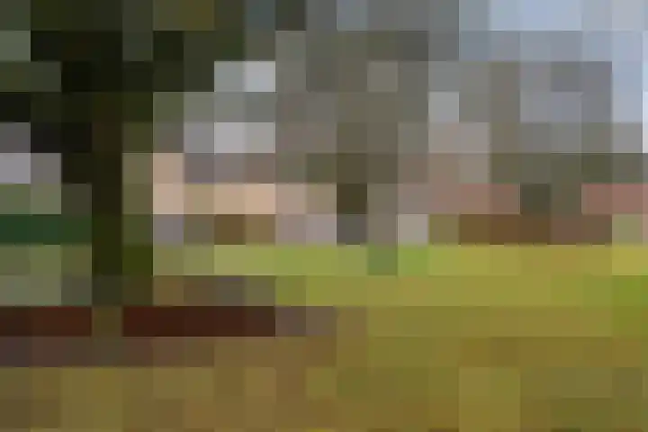 Govert Flinckstraat 2 Apeldoorn thumbnail 53