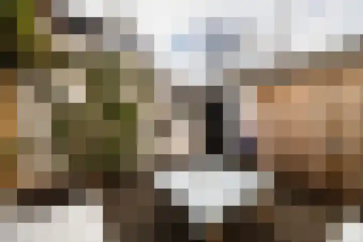 Govert Flinckstraat 2 Utrecht thumbnail 22