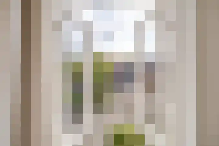 Govert Flinckstraat 2 Utrecht thumbnail 28