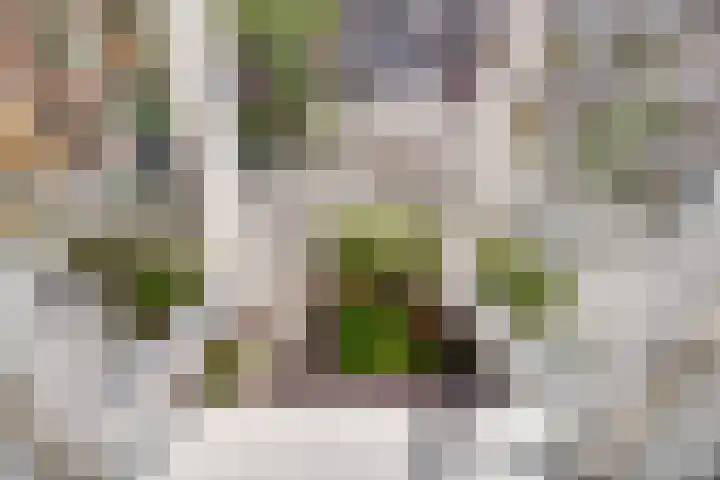 Govert Flinckstraat 2 Utrecht thumbnail 29