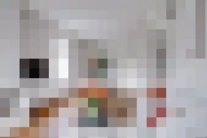 Govert Flinckstraat 2 Utrecht thumbnail 7