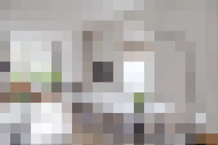 Govert Flinckstraat 2 Utrecht thumbnail 8