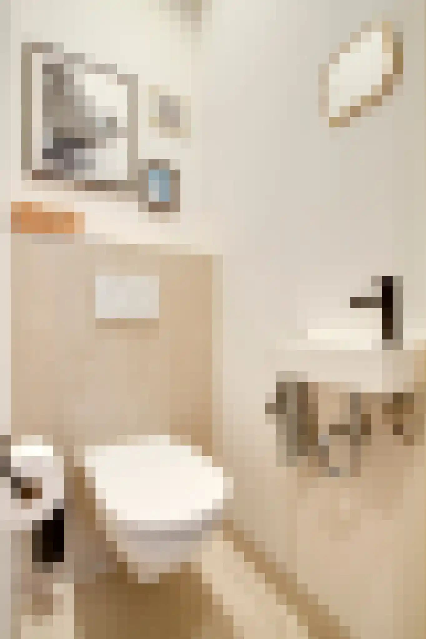 Govert Flinckstraat 205 H Amsterdam thumbnail 16