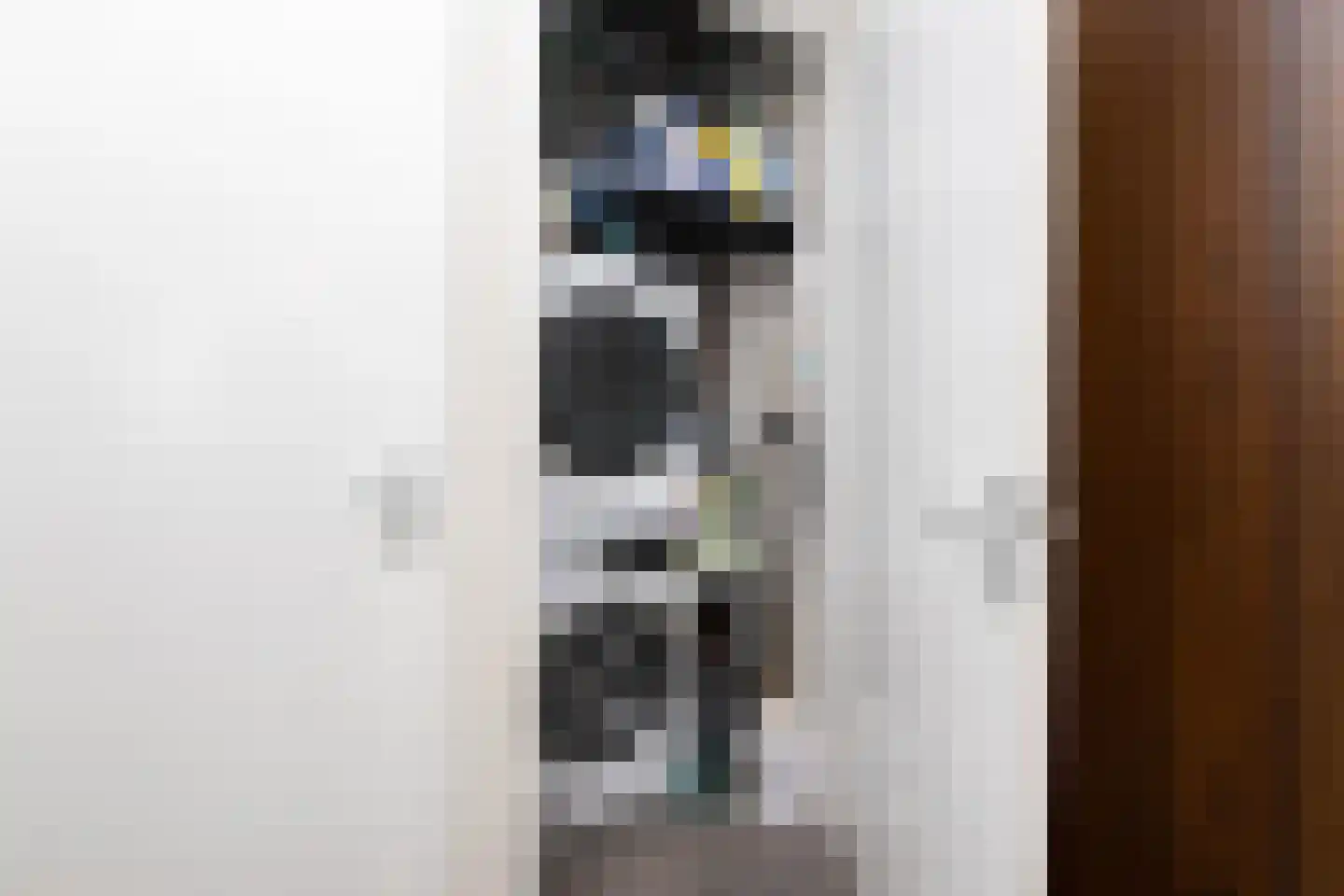 Govert Flinckstraat 21 K Zwolle thumbnail 17