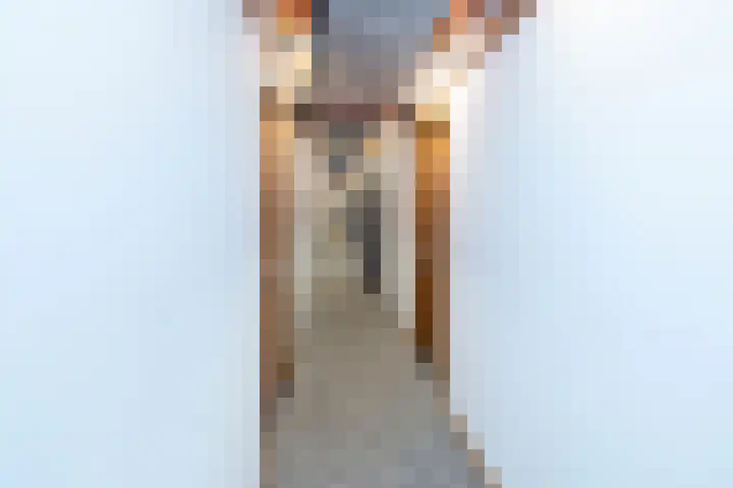 Govert Flinckstraat 21 K Zwolle thumbnail 19