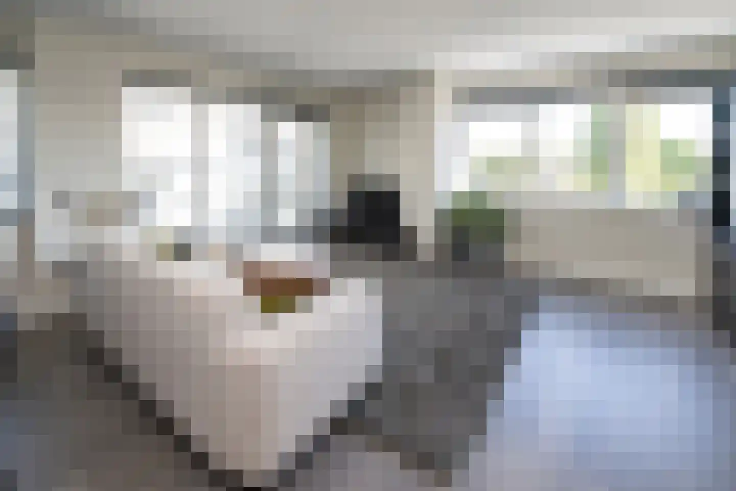 Govert Flinckstraat 21 K Zwolle thumbnail 5