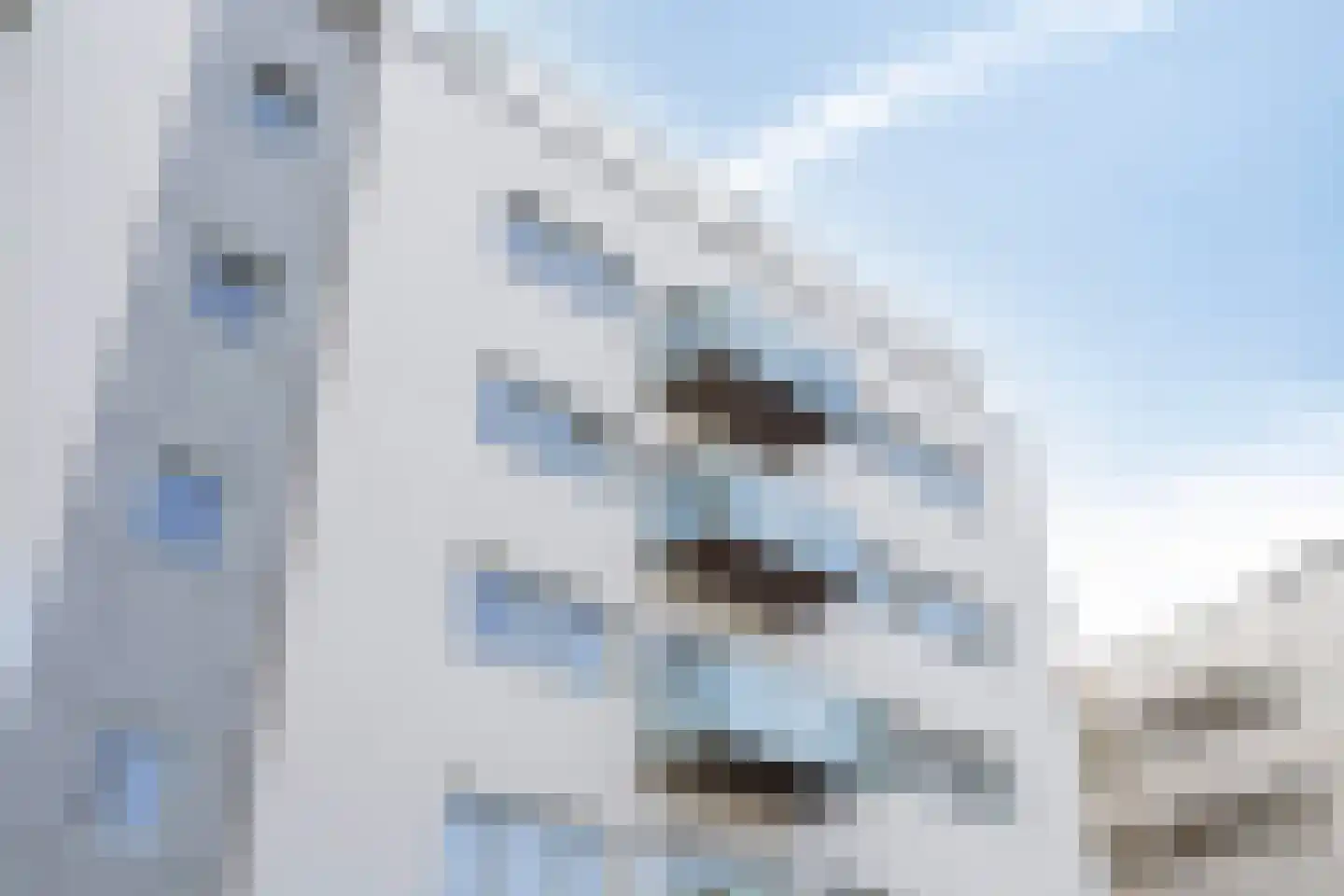 Govert Flinckstraat 21 L Zwolle thumbnail 18