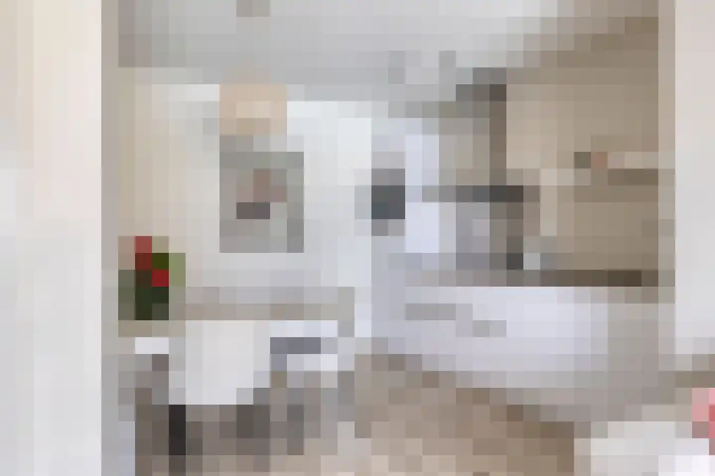 Govert Flinckstraat 21 L Zwolle thumbnail 4