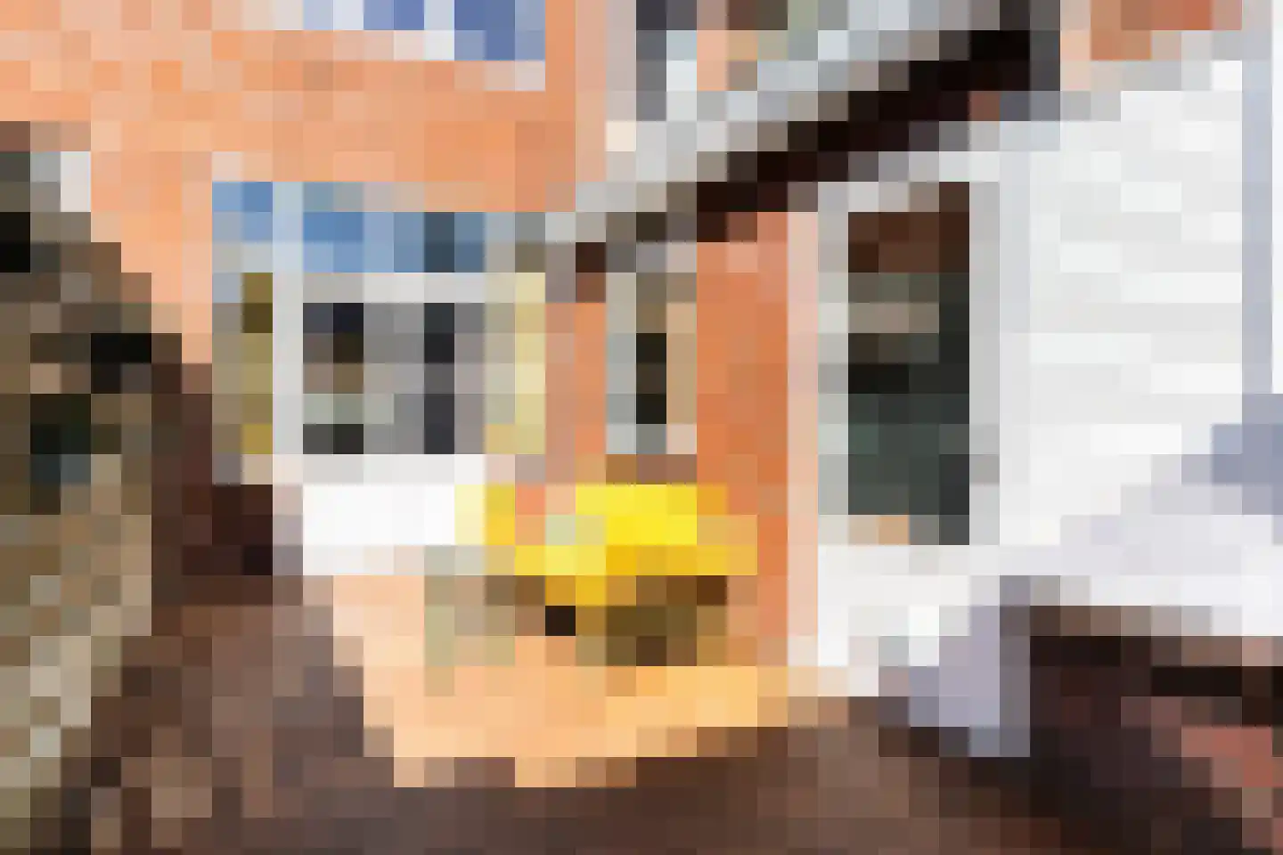 Govert Flinckstraat 21 Leeuwarden thumbnail 6