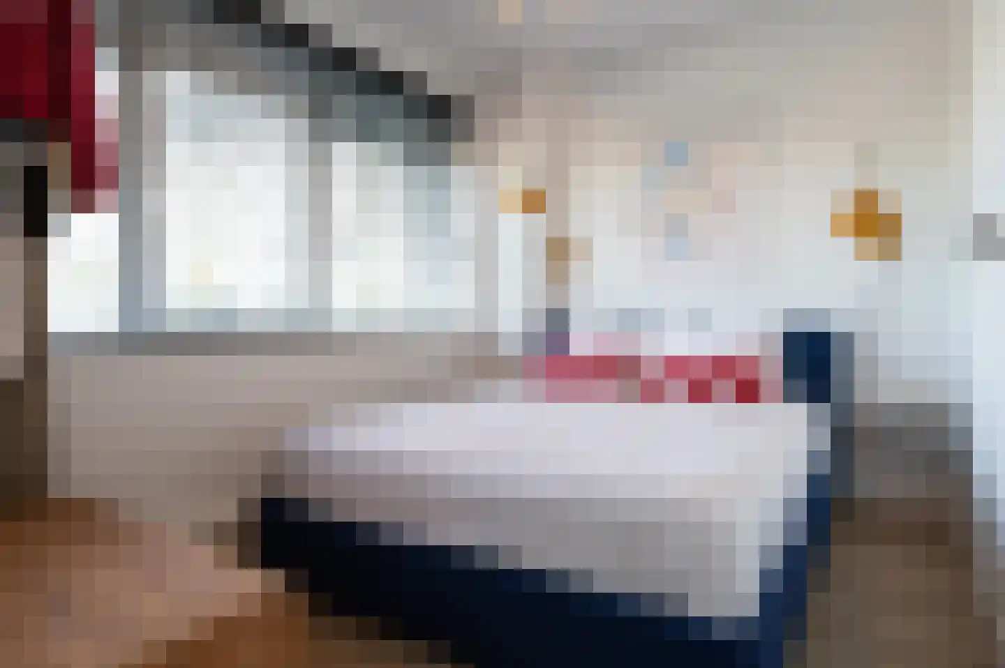 Govert Flinckstraat 21 Zwolle thumbnail 12