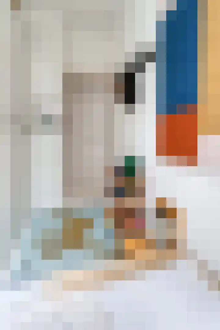 Govert Flinckstraat 225 2 Amsterdam thumbnail 23