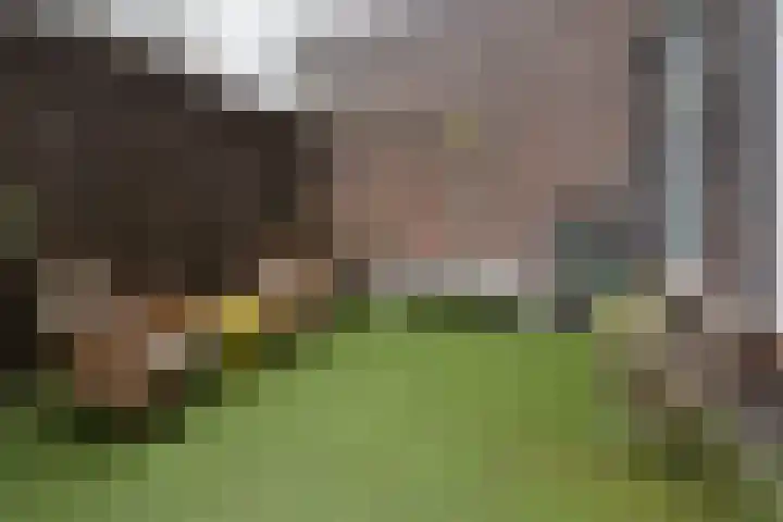 Govert Flinckstraat 225 2 Amsterdam thumbnail 29