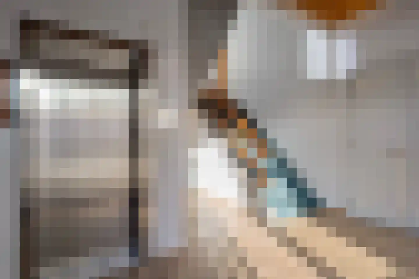 Govert Flinckstraat 23 C Zwolle thumbnail 4
