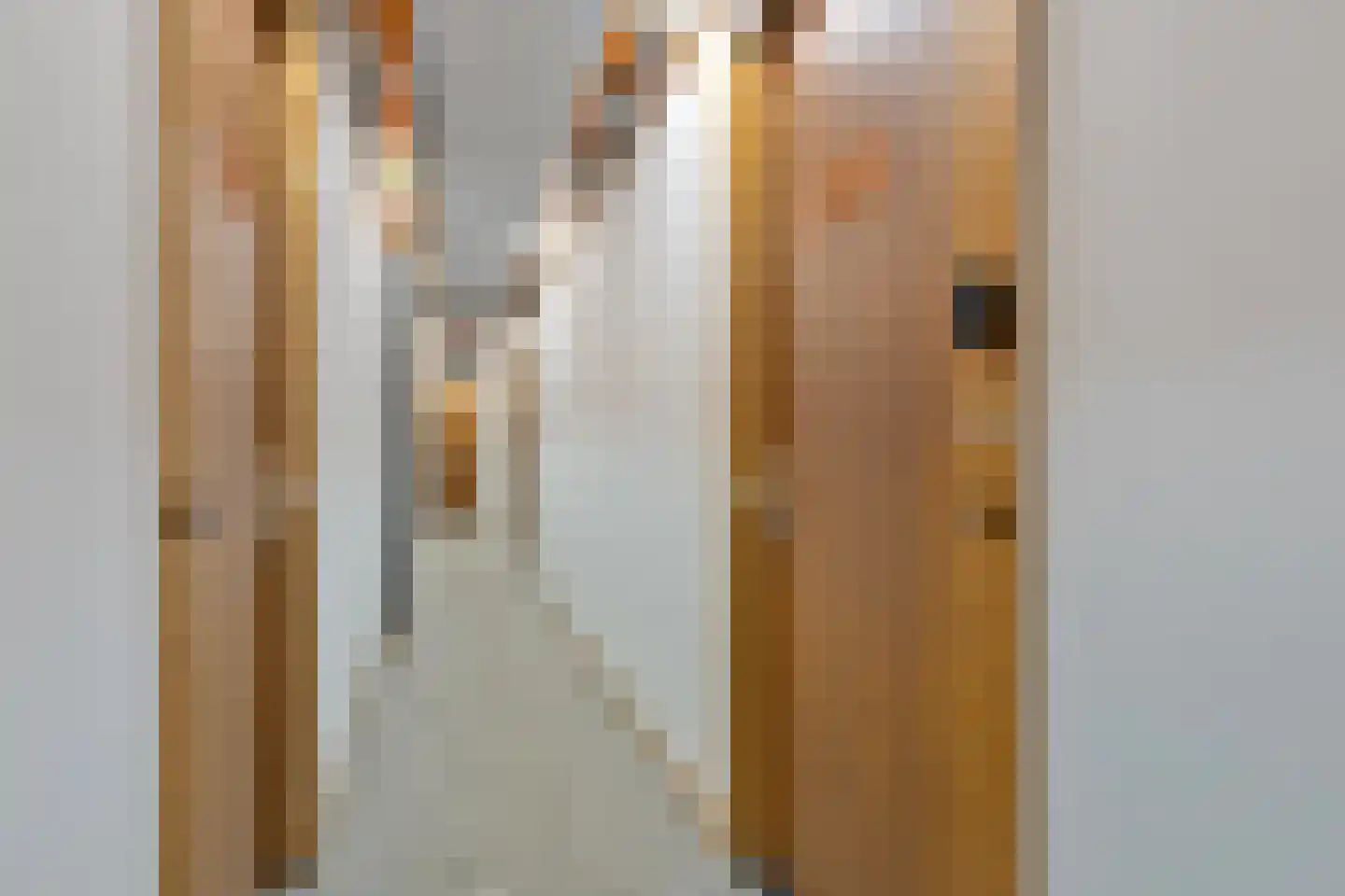 Govert Flinckstraat 23 C Zwolle thumbnail 5