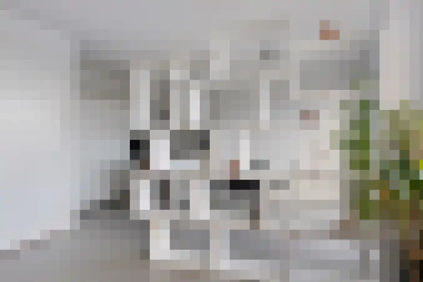Govert Flinckstraat 23 C Zwolle thumbnail 9