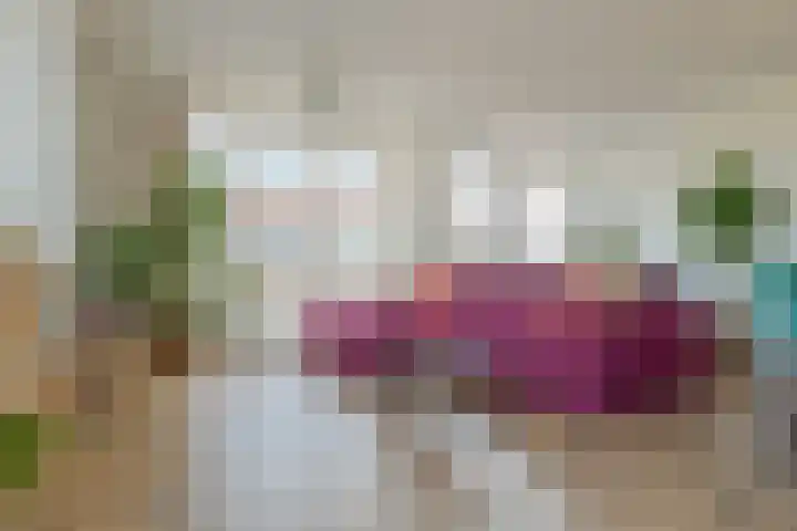 Govert Flinckstraat 23 D Zwolle thumbnail 12
