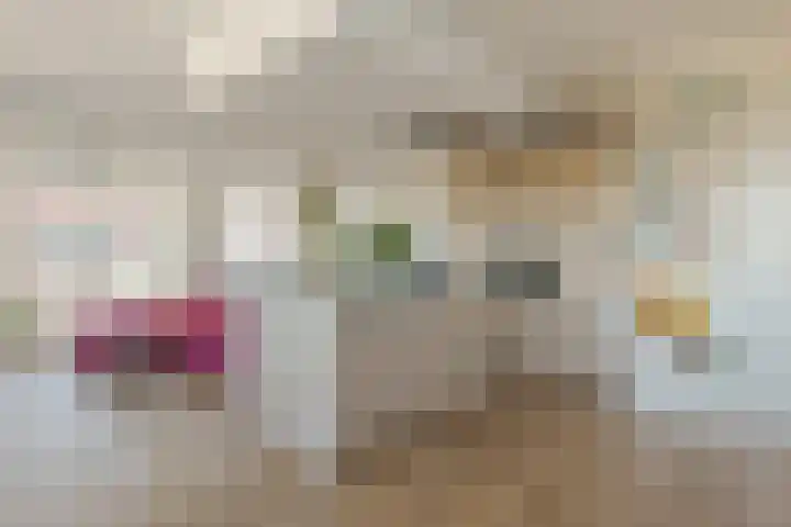 Govert Flinckstraat 23 D Zwolle thumbnail 13